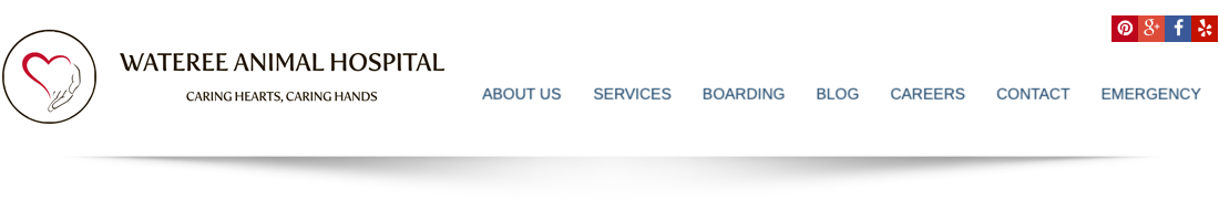 Wateree Animal Hospitals Inc